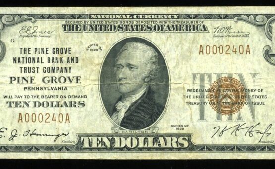 1929 $10 NB PINE GROVE PA
