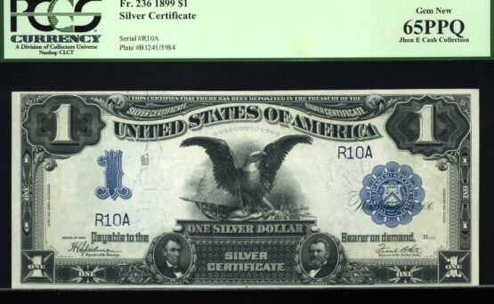 FR-236 1899 $1 SILVERS #10-100
