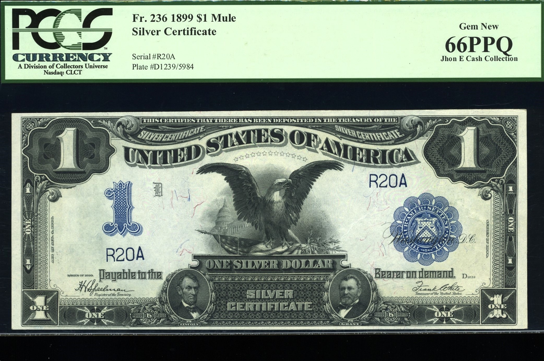 FR-236 1899 $1 SILVERS #10-100