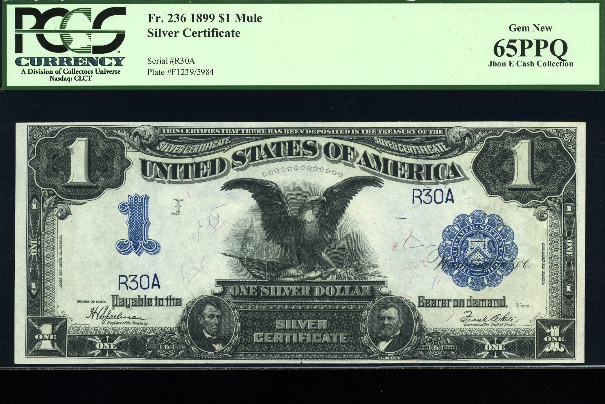 FR-236 1899 $1 SILVERS #10-100