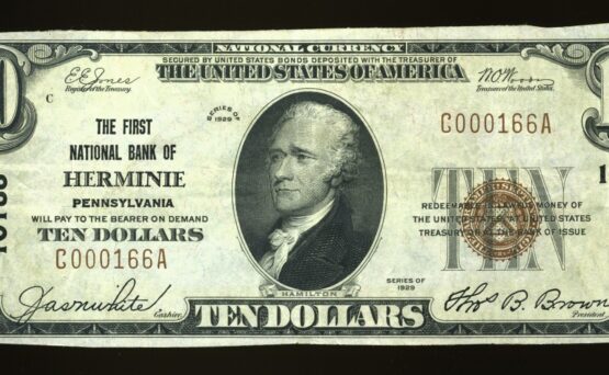 1929 $10 1ST NB HERMINIE PA